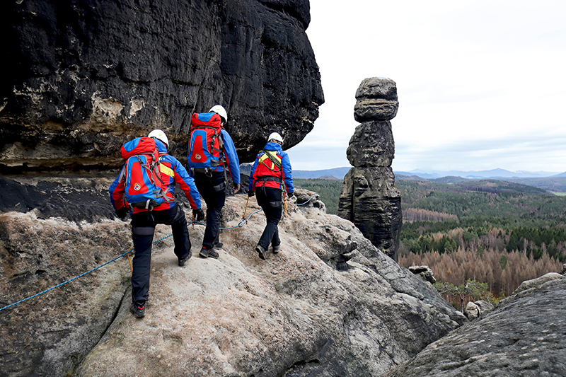 1691492564706667.jpeg 1.jpeg